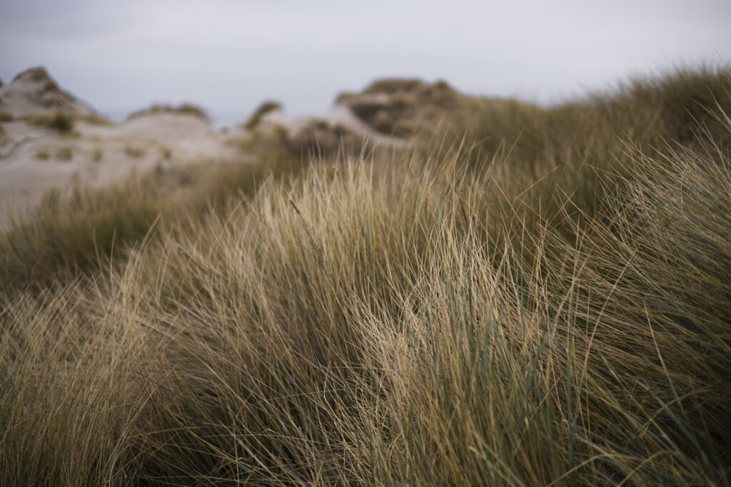 Debora Postma Fotografie